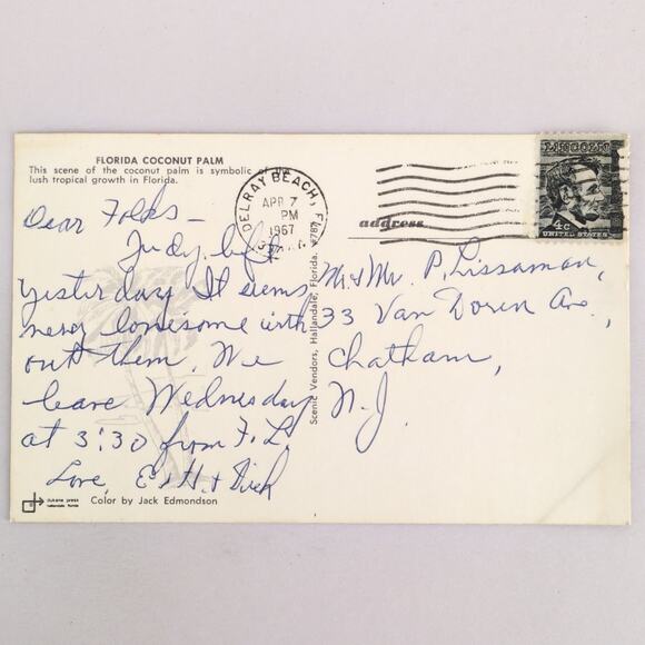 Florida Coconut Palm Tree 1960s Postcard 1967 Photo Hallandale Delray Beach - Picture 2 of 2